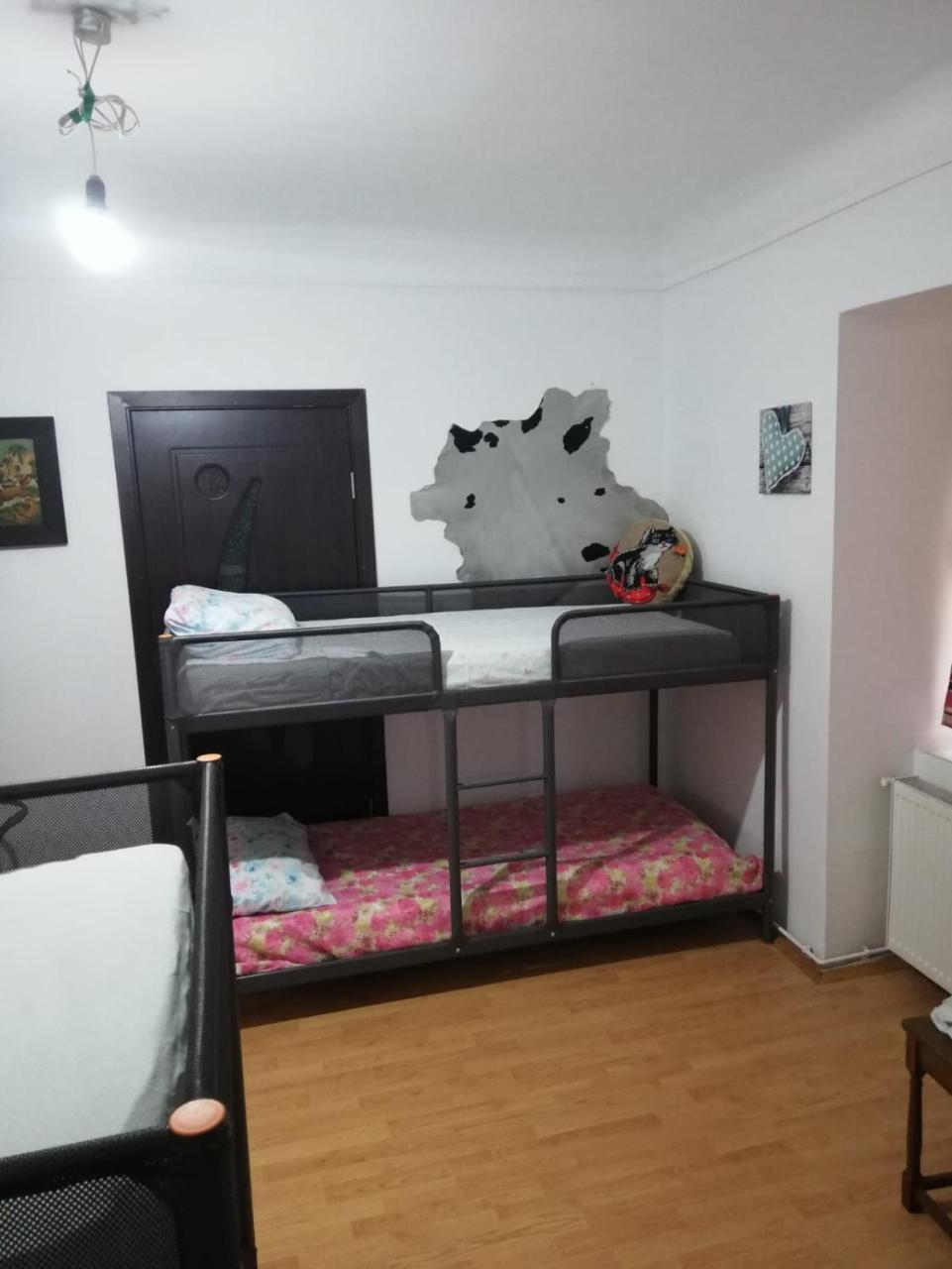 Leyla Hostel Braşov Extérieur photo