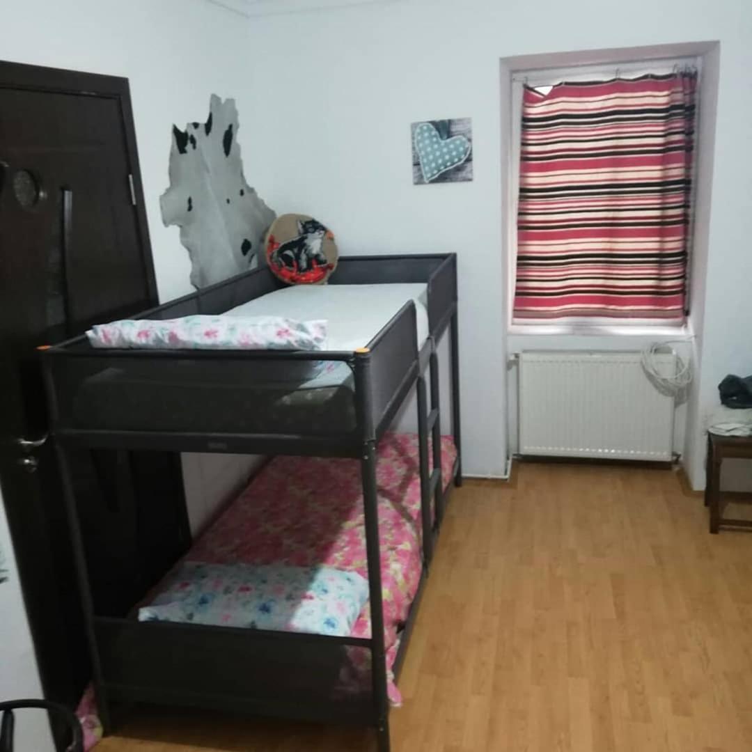 Leyla Hostel Braşov Extérieur photo