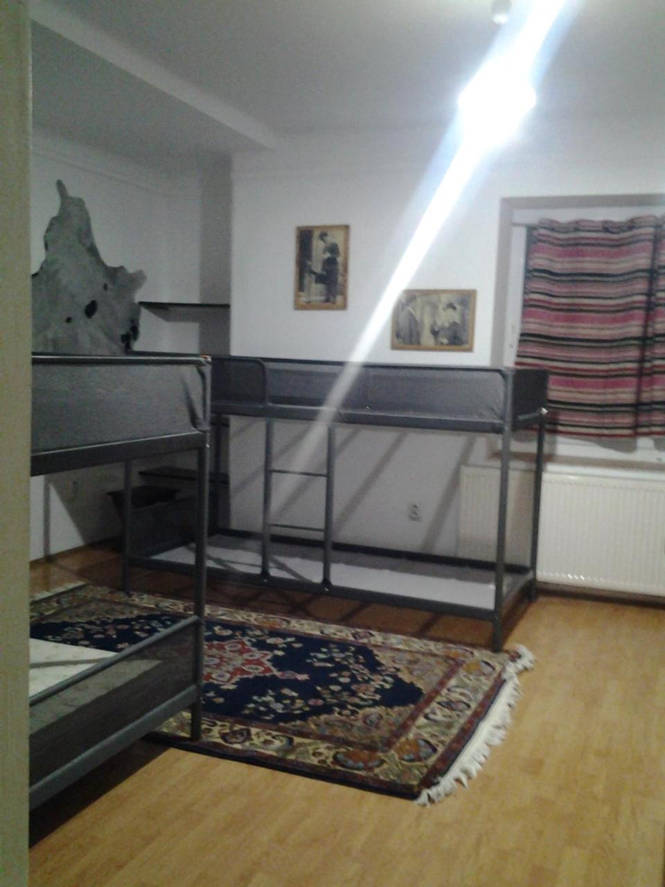 Leyla Hostel Braşov Extérieur photo
