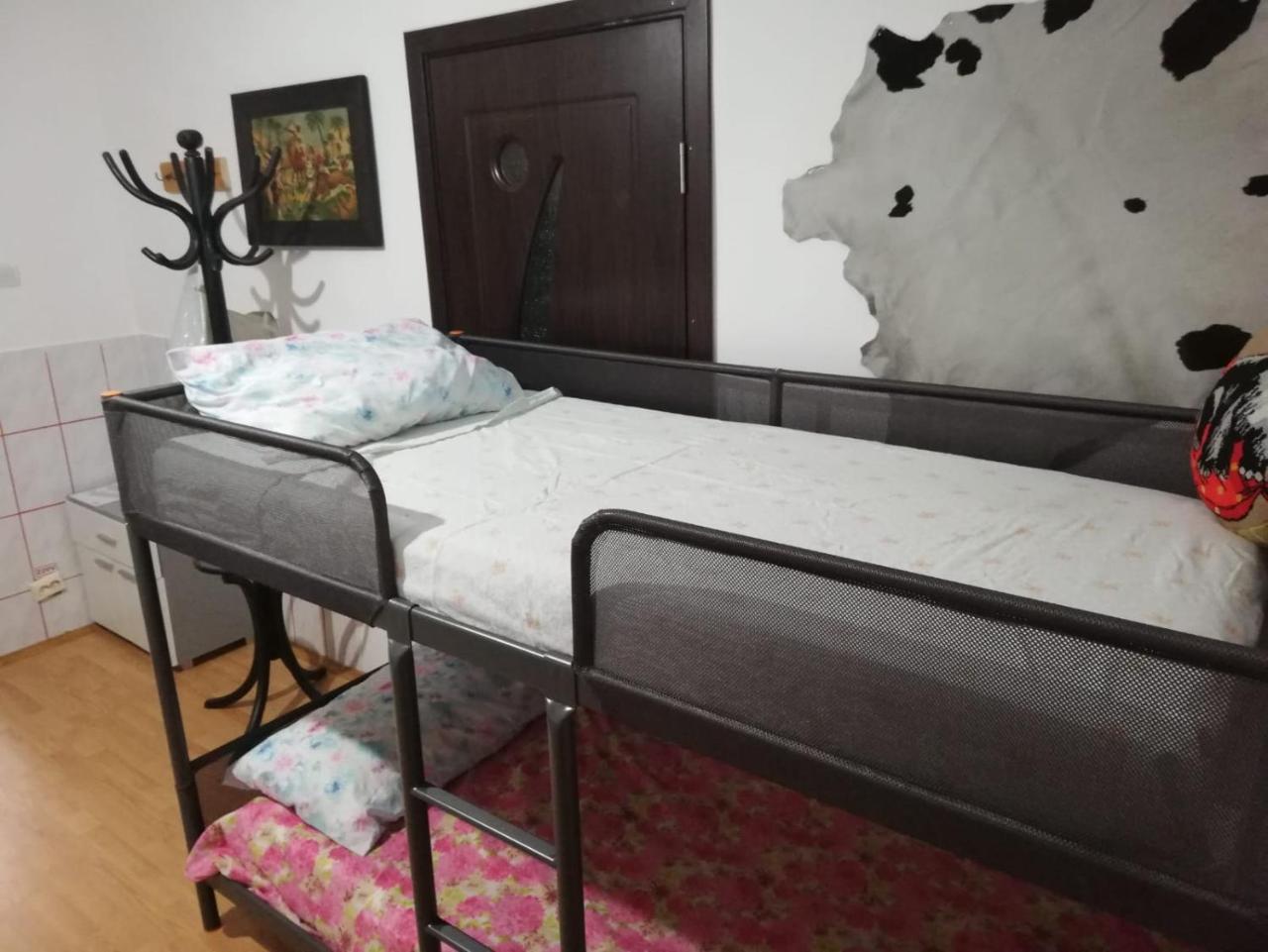 Leyla Hostel Braşov Extérieur photo
