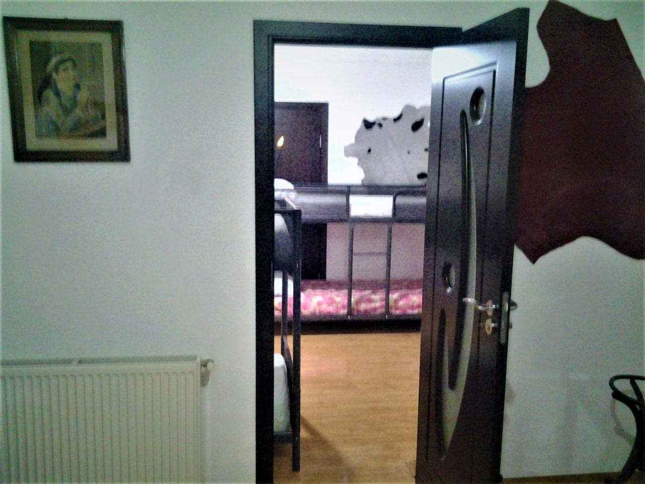 Leyla Hostel Braşov Extérieur photo