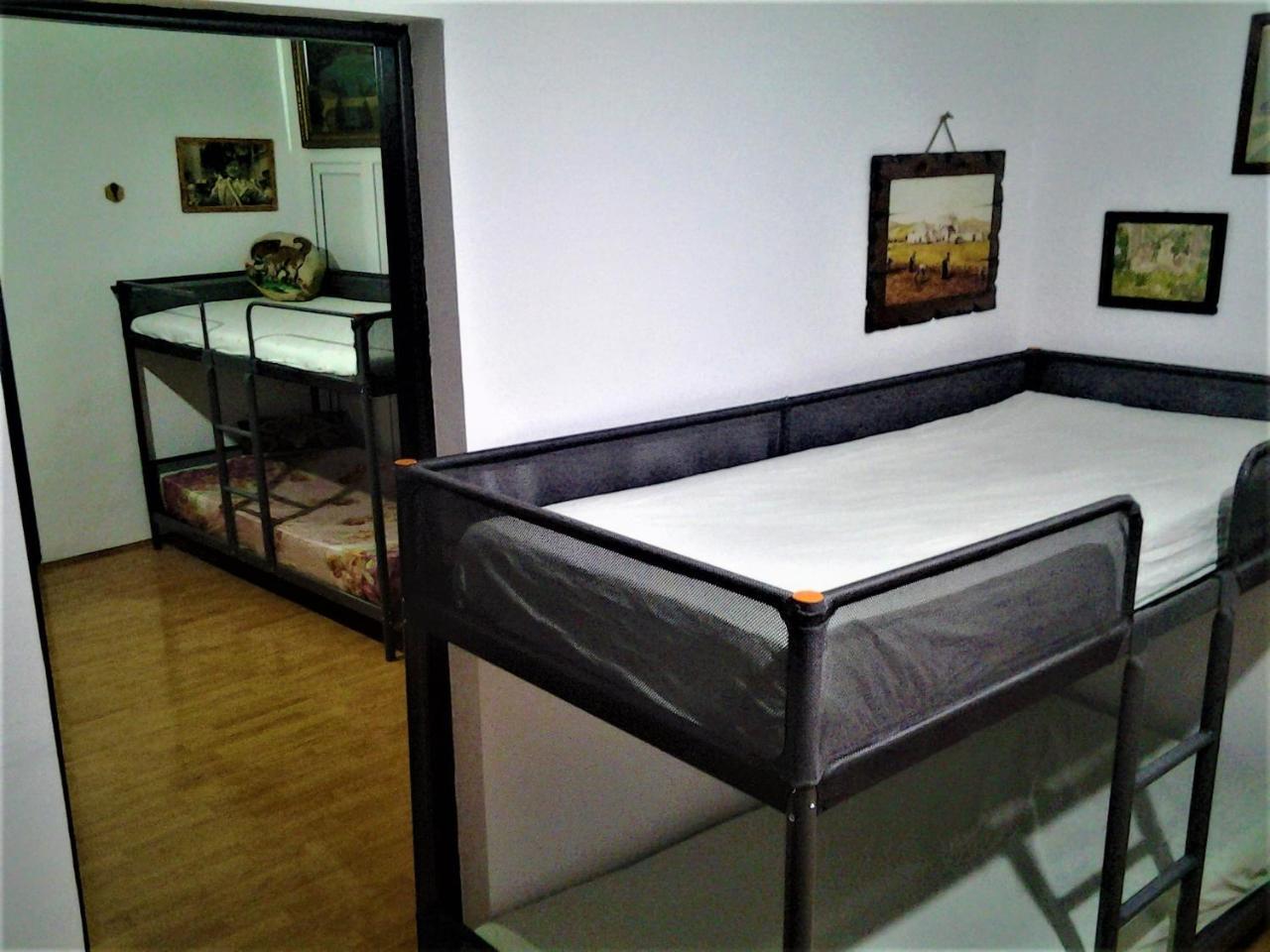 Leyla Hostel Braşov Extérieur photo