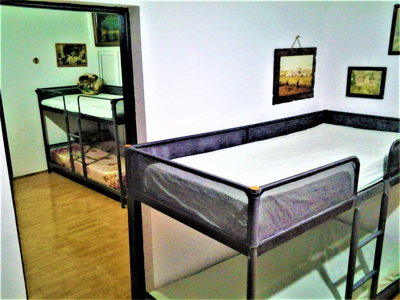 Leyla Hostel Braşov Extérieur photo