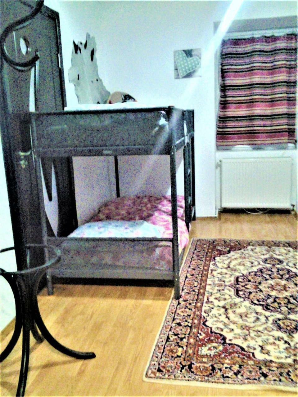 Leyla Hostel Braşov Extérieur photo