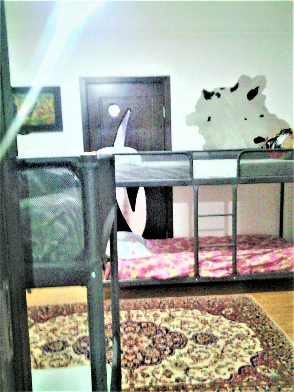 Leyla Hostel Braşov Extérieur photo