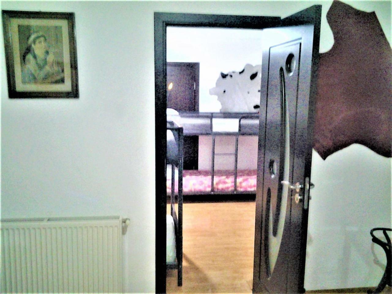 Leyla Hostel Braşov Extérieur photo